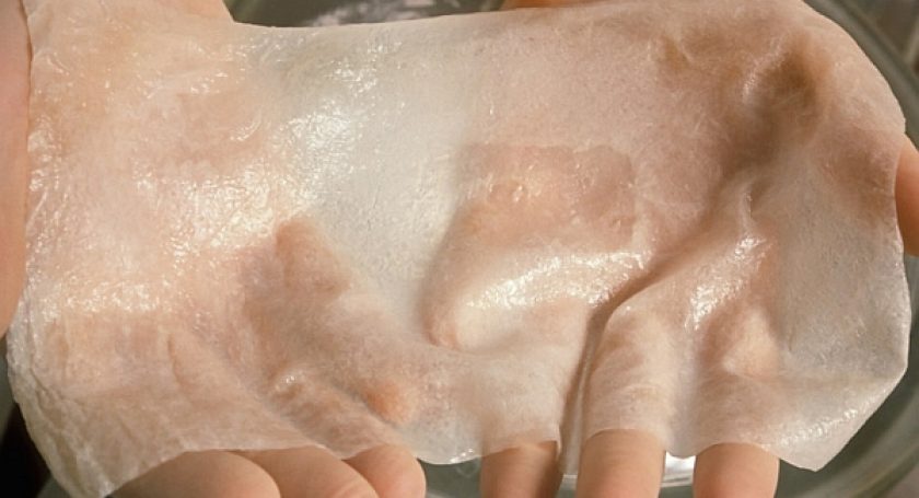 В Беларуси научились выращивать искусственную кожу