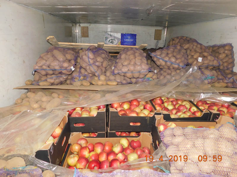 Россельхознадзор выявил новую схему незаконного ввоза свежих яблок из Беларуси