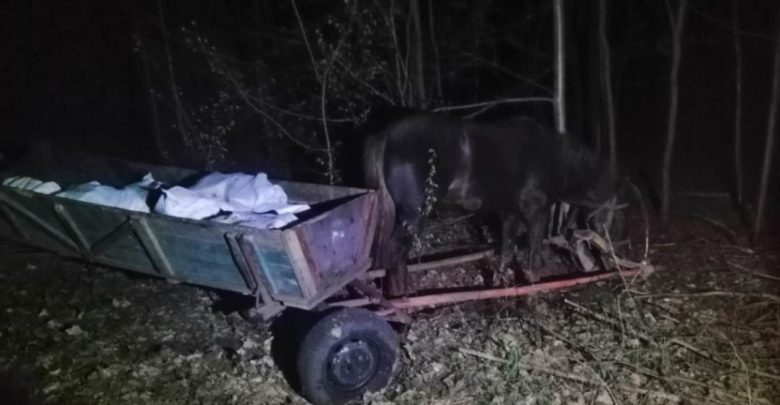 украинцы пытались незаконно ввезти в Беларусь сало