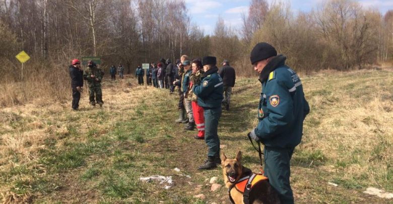 поиски пропавшего мальчика