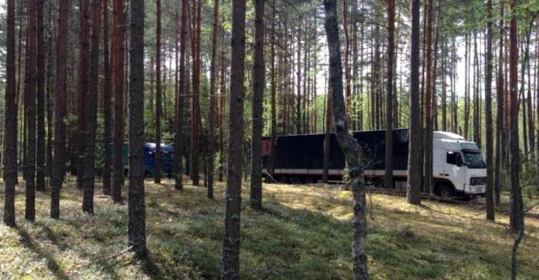 в России задержали 100 тонн яблок, ввезённых из Беларуси