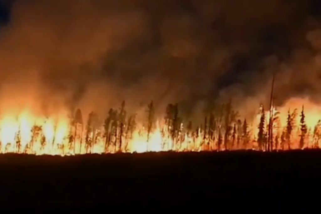 Площадь лесных пожаров в Сибири превысила 1,5 млн. га
