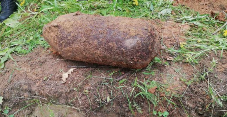 в Молодечненском районе грибник нашёл в лесу авиабомбу
