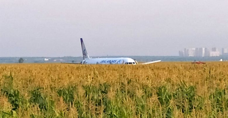 Самолет в поле