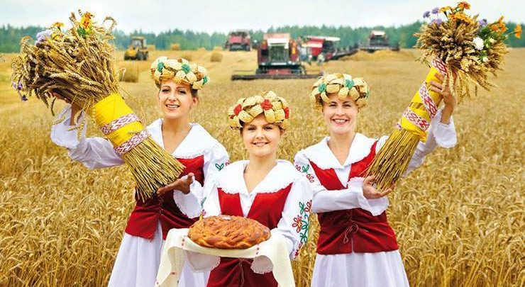 Дожинки-2019
