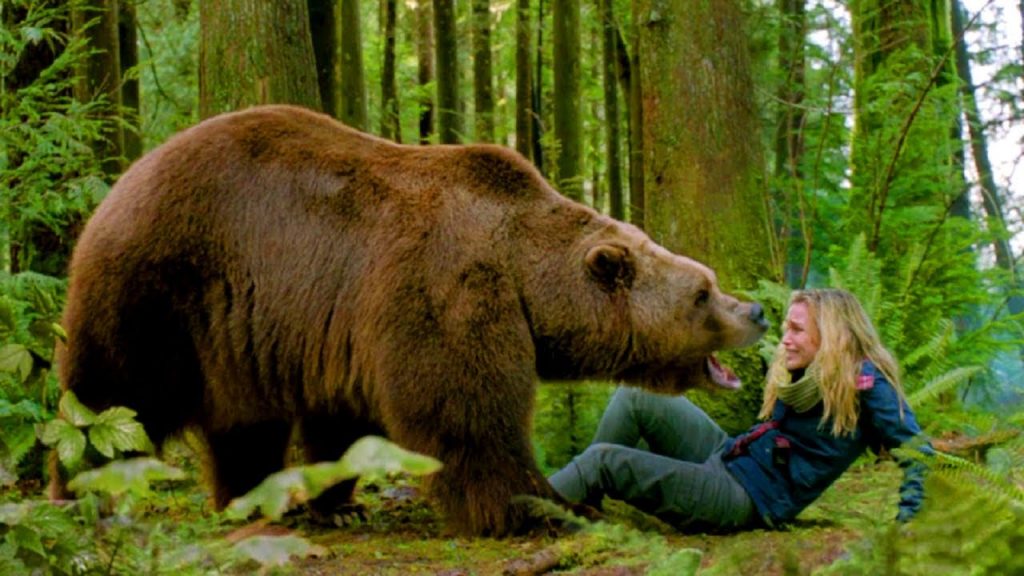 Россиянам рассказали как выжить при встрече с медведем