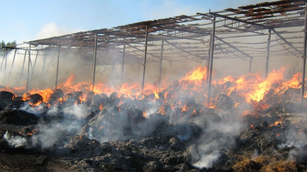 В Браславском районе сгорело сенохранилище