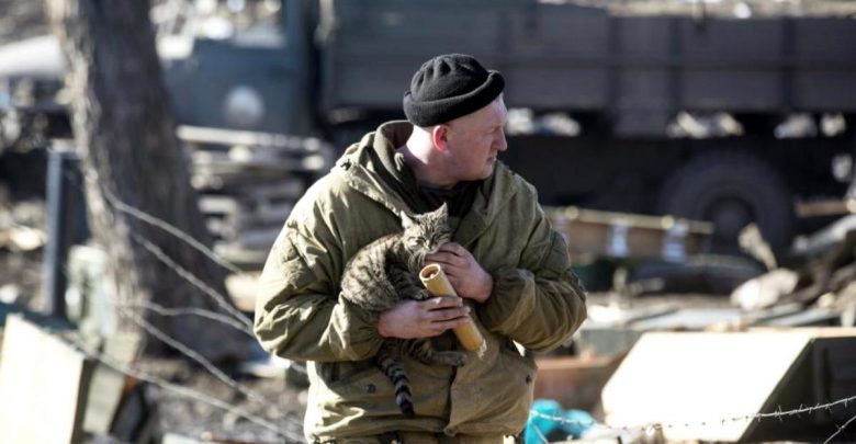 военный держит котёнка на руках
