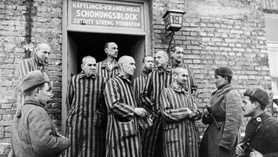 освобождение Освенцима