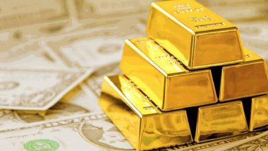 Золотовалютные резервы Беларуси выросли до 7,76 млрд долларов
