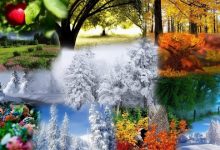 Прогноз погоды