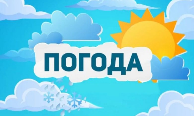 Желтый уровень опасности из-за жары объявлен в Беларуси 15 августа 2021