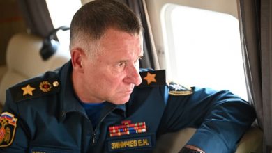 Погиб глава МЧС России Зиничев