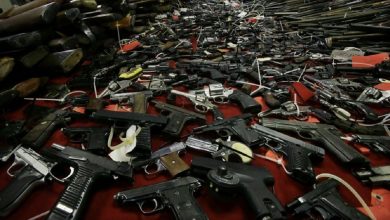 Свыше 500 единиц нелегального оружия изъяли в Беларуси