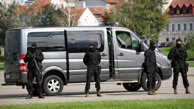 МВД Беларуси сообщило о задержании исполнителей терактов в Могилевской области