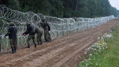 граница, колючая проволока от нелегальных мигрантов