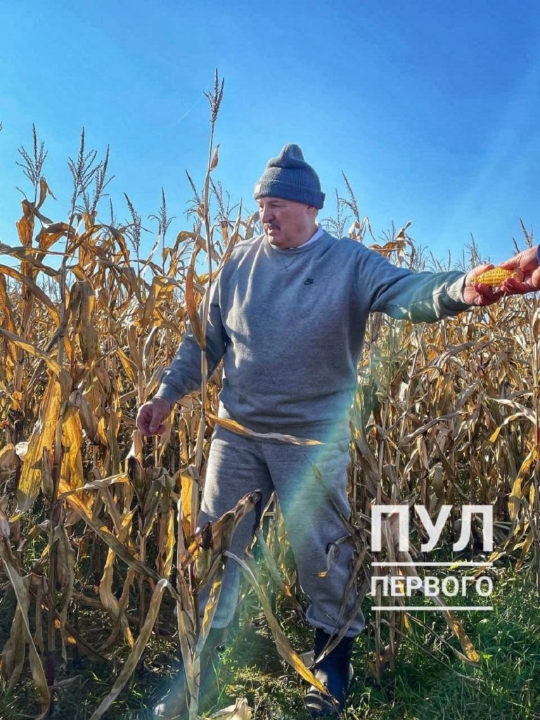 Лукашенко на родине инспектирует уборку кукурузы