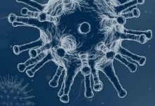 Появилась новая версия происхождения коронавируса