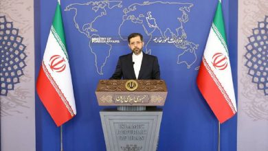 МИД Ирана прокомментировал ситуацию с иранскими мигрантами