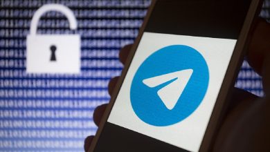 Telegram-канал «Элехтарат» и группа «Чат Элехтарата» признаны экстремистскими