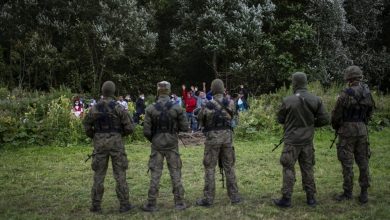 нелегальные мигранты на границе, польские военные на границе