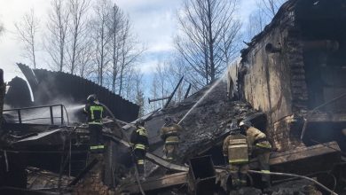 пожар на пороховом заводе в Рязанской области, МЧС России