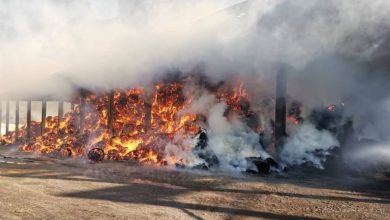 пожар на льнозаводе в Лиозно