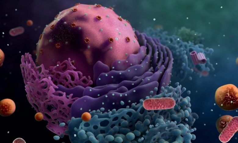 Биологи создали наночип, восстанавливающий клетки организма 1