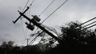 Более 120 населенных пунктов на Украине обесточены из-за непогоды