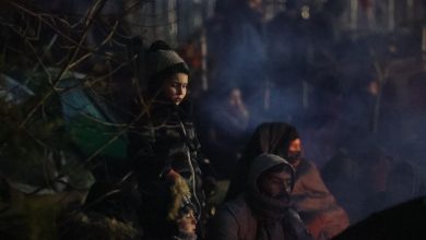 ГПК опроверг информацию о гибели ребенка среди мигрантов на белорусско-польской границе