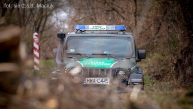 В Польше зафиксировали 195 попыток незаконного перехода границы