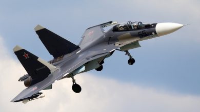 Белорусские и российские истребители продолжают совместное патрулирование