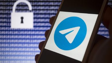 Telegram-канал «Белорусский партизан» признали экстремистским