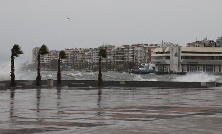 В Стамбуле из-за ураганного ветра погибли четыре человека