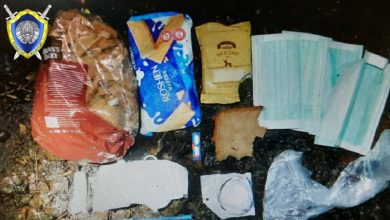 СК: в Браславском районе обнаружено тело мигранта без признаков жизни