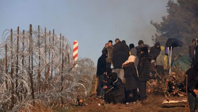 нелегальные мигранты на границе Беларуси и Польши, беженцы