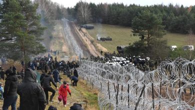 нелегальные мигранты на границе Польши и Беларуси