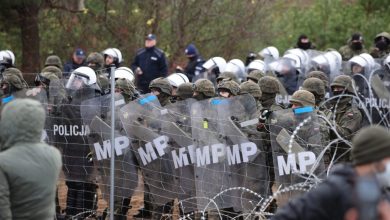 граница с Польшей, польские военные на границе, миграционный кризис