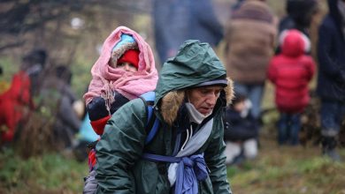 нелегальные мигранты на границе Беларуси и Польши