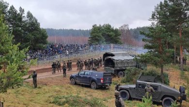 мигранты, граница Беларуси с Польшей, польские военные