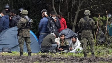 нелегальные мигранты на границе Беларуси и Польши