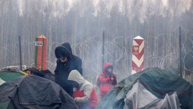 нелегальные мигранты на границе Беларуси и Польши, беженцы