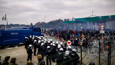 нелегальные мигранты на границе Беларуси и Польши, беженцы