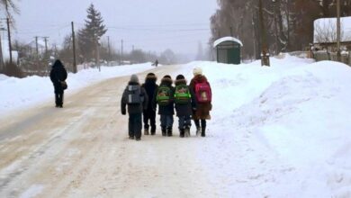 Школьники идут по заснеженной дороге