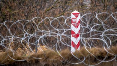 В Польше за минувшие сутки зафиксировали более 60 попыток перехода границы мигрантами