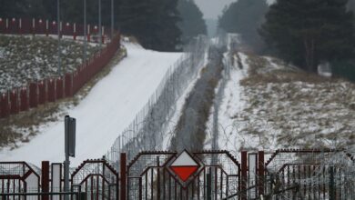 граница Польши и Беларуси, нелегальные мигранты