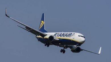самолёт Ryanair в небе