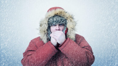 "Ледяной убийца": китайские учёные рассказали, как мороз подрывает здоровье человека 4