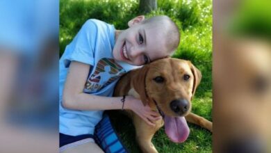 Щенок спас жизнь 10-летней девочке тем, что помог вовремя диагностировать рак 5