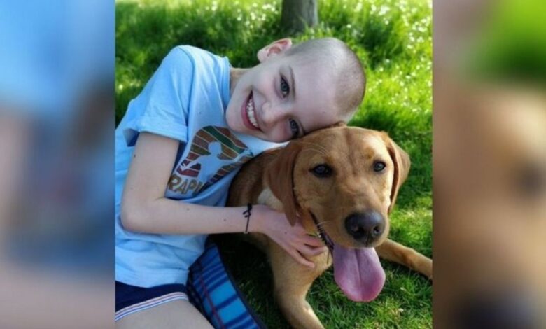 Щенок спас жизнь 10-летней девочке тем, что помог вовремя диагностировать рак 1